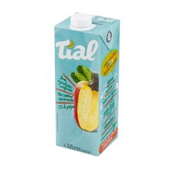SUCO TIAL NECTAR 1L CAJU