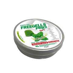 PASTILHA FREGELLS DIET10X40G EUCALIPTO POTE