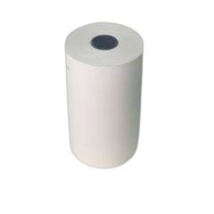 BOBINA MAQUINA CARTAO CREDITO 10X57MMX15M REGISPEL